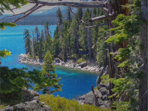 Main image Painted by Nature