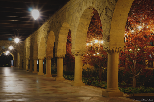 Main image Stanford Arches