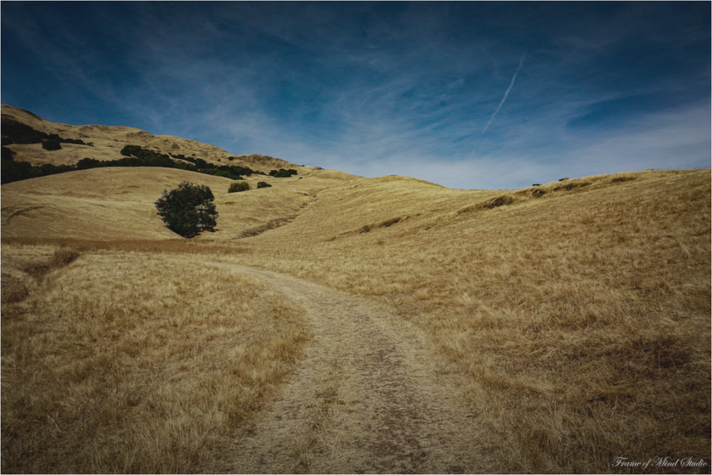 Main image Golden Hills