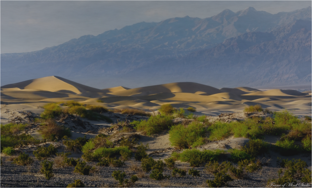 Main image Desert Dunes